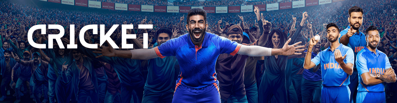 Cricket stadium
